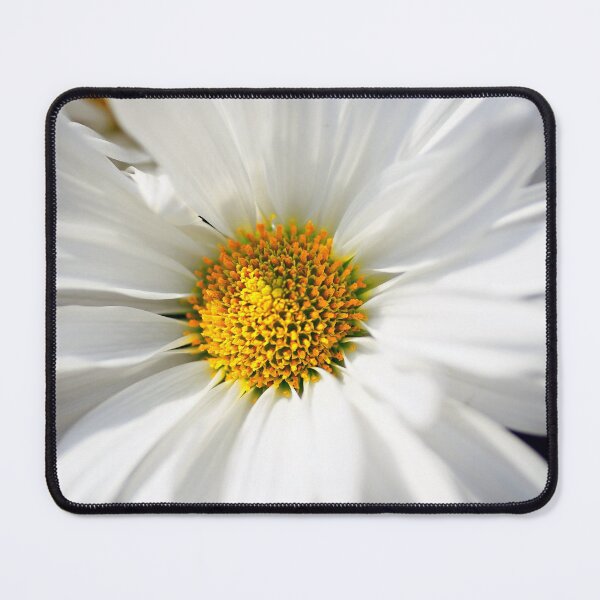 Item preview, White Petals designed and sold by Yannik Hay.