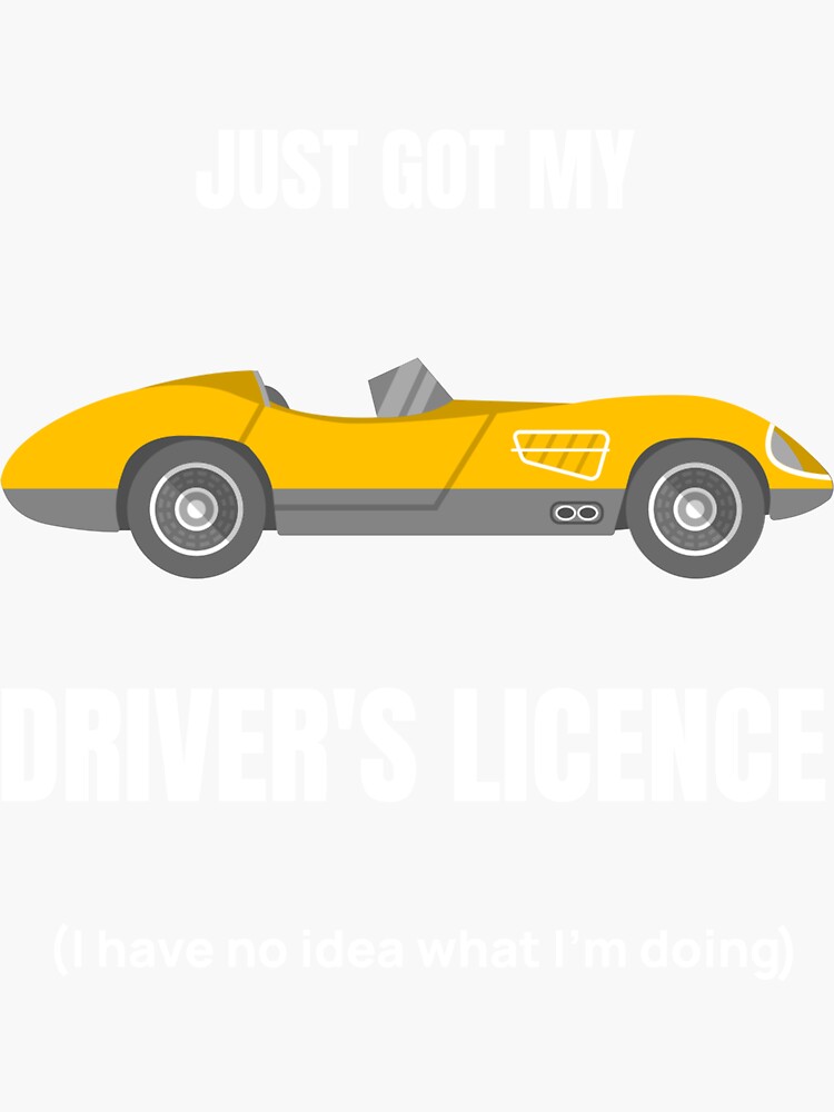 "New Driver Just Got My Driver's License (I have no idea what I am