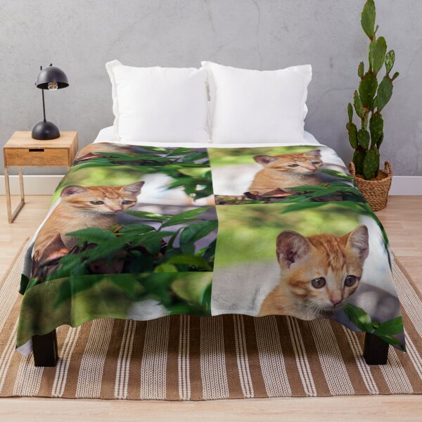 Item preview, Cute kitten cat perched in a tree with an inquisitive look designed and sold by Geoff Wols.