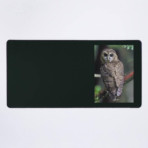 Item preview, Northern Spotted Owl designed and sold by Amanda1775.