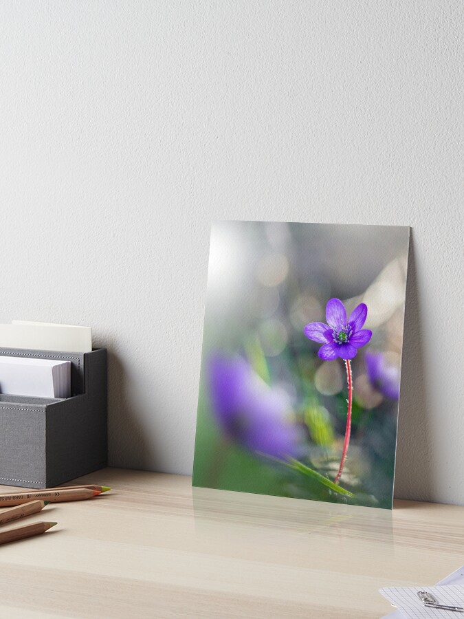 Flowers in Bloom Floral Painting on 8x10 Canvas 1/2 Depth