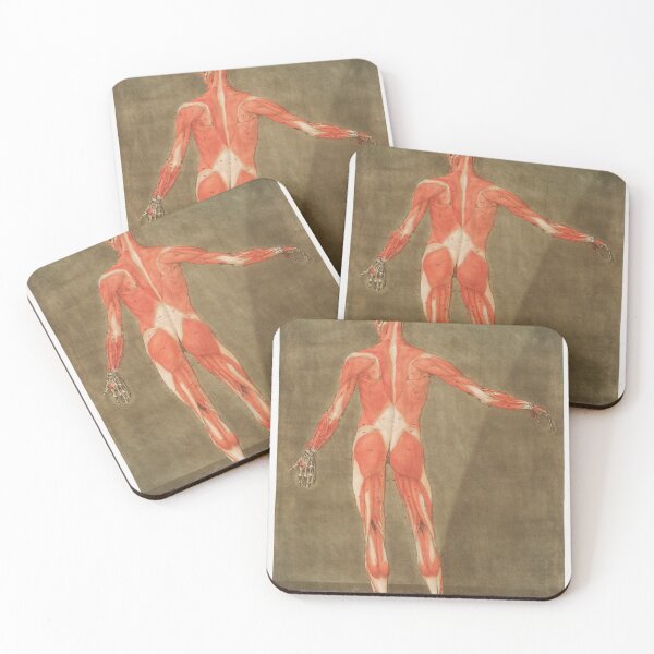 Item preview, This fascinating collection of anatomical illustrations is created by Arnauld-Eloi Gautier-Dagoty (1741-1771) for the Royal College of Medicine of Nancy in Lorraine, France. designed and sold by LenaShines.