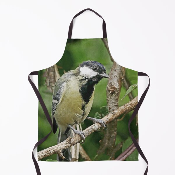 Item preview, r-1047 / New Finition 2021  -- Mésange -  (c)(t) Olavia-Olao Okaio Créations designed and sold by o.okaïo.