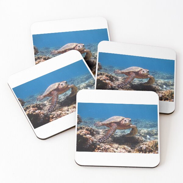 Item preview, a turtle swimming under water on gili meno island in indonesia designed and sold by Geoff Wols.