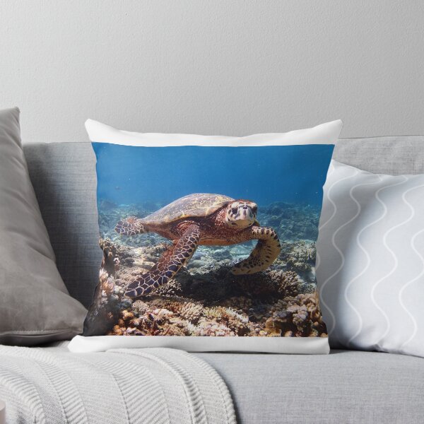 Item preview, a turtle swimming under water on gili meno island in indonesia designed and sold by Geoff Wols.
