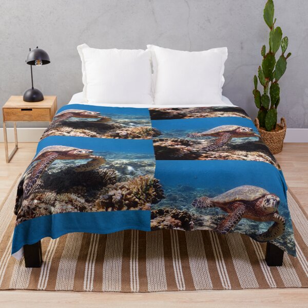 Item preview, a turtle swimming under water on gili meno island in indonesia designed and sold by Geoff Wols.