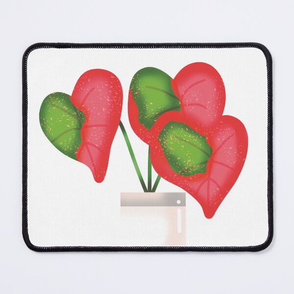Item preview, Caladium  - Indoor Plant designed and sold by DuqueJ.