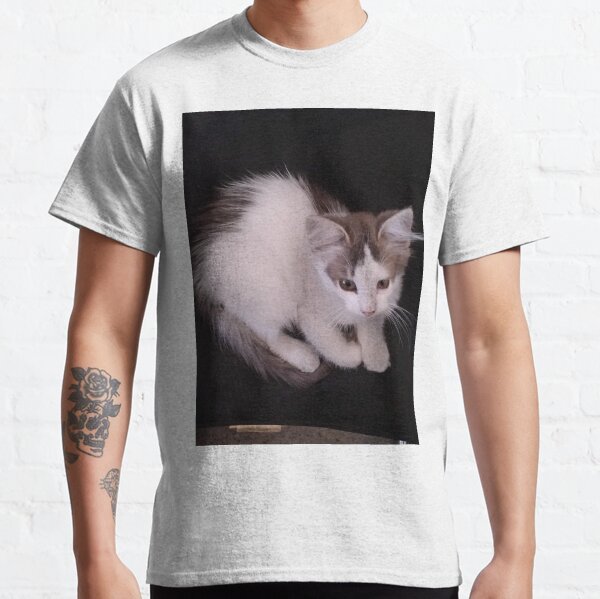 Kitten in a Chair Classic T-Shirt
