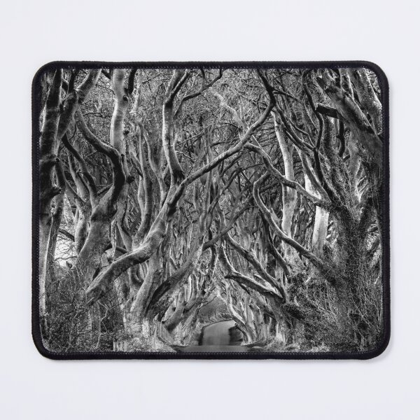 Item preview, Woodland Avenue designed and sold by Dave Hare Photography.