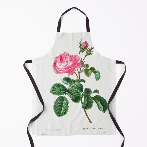 Item preview, Cabbage rose (Rosa centifolia) from Traité des Arbres et Arbustes que l’on cultive en France en pleine terre (1801–1819) by Pierre-Joseph Redouté. Original from the New York Public Library. designed and sold by LenaShines.
