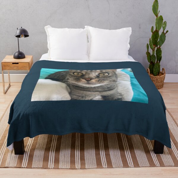 Item preview, Up Close Kitty designed and sold by Amanda1775.