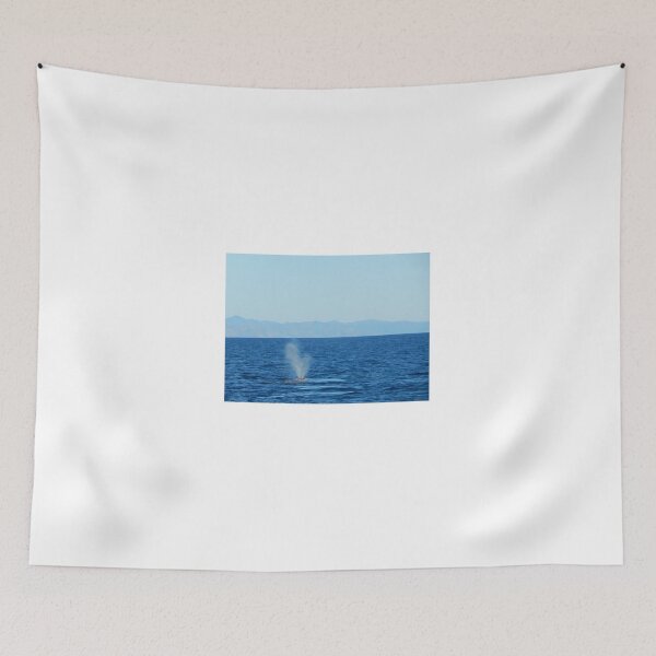 Item preview, Gray Whale Loves You designed and sold by CarolynMansager.