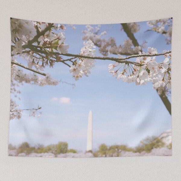 Item preview, Cherry Blossoms National Monument Washington DC Tidal Basin designed and sold by Kathleen Creative.