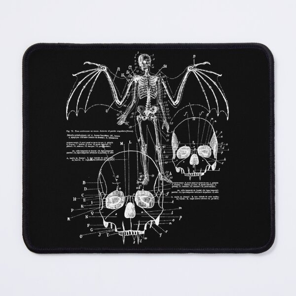 Item preview, Anatomy of a Vampire Bat Skull Diagram designed and sold by SpreadForSatan.