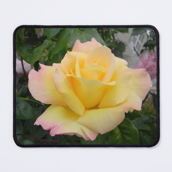 Item preview, Yellow with Pink Rose designed and sold by Kathleen Brant.