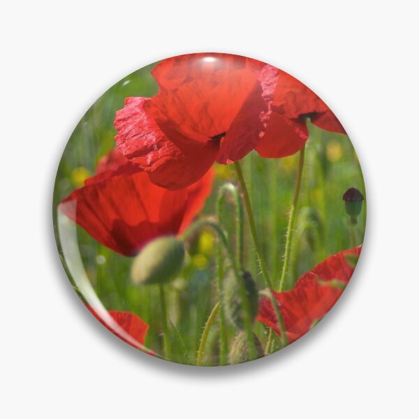Item preview, Poppies in Yorkshire designed and sold by Dave Hare Photography.