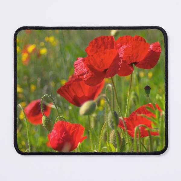 Item preview, Poppies in Yorkshire designed and sold by Dave Hare Photography.