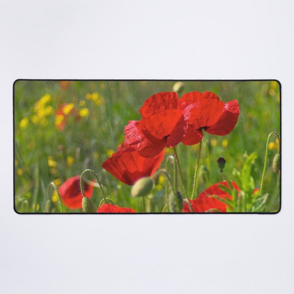 Item preview, Poppies in Yorkshire designed and sold by Dave Hare Photography.
