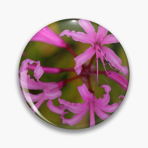 Item preview, Floral Anemones designed and sold by Dave Hare Photography.