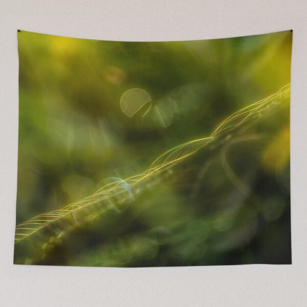 Item preview, Spider web 8 designed and sold by Veikko  Suikkanen.