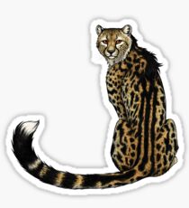King Cheetah Sticker