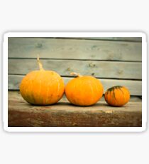 Pumpkins on a wooden background Sticker