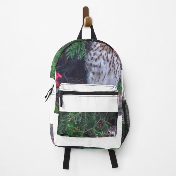 Item preview, Cooper's hawk designed and sold by MarianBendeth.