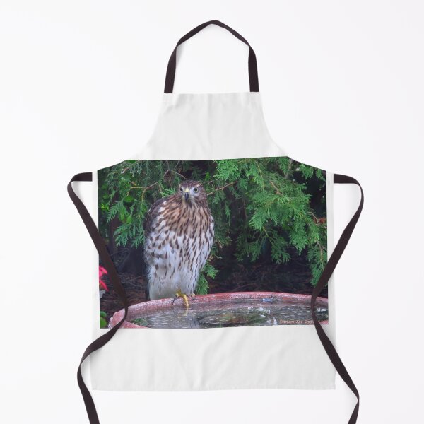Item preview, Cooper's hawk designed and sold by MarianBendeth.