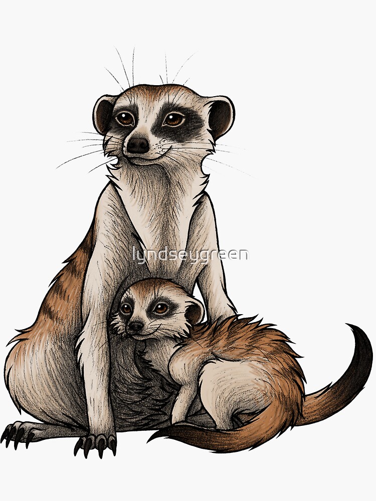 Thumbnail 3 of 3, Sticker, Meerkat designed and sold by lyndseygreen.