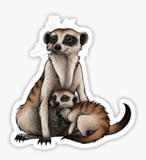 Meerkat Sticker
