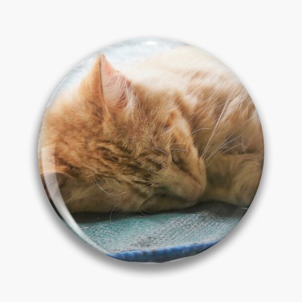 Item preview, Sleeping Longhaired Ginger Cat designed and sold by Frankie Cat Photography.