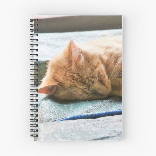 Item preview, Sleeping Longhaired Ginger Cat designed and sold by Frankie Cat Photography.
