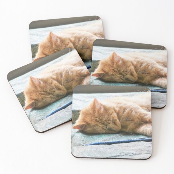 Item preview, Sleeping Longhaired Ginger Cat designed and sold by Frankie Cat Photography.
