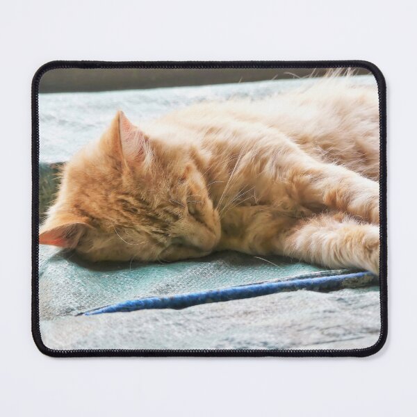 Item preview, Sleeping Longhaired Ginger Cat designed and sold by Frankie Cat Photography.