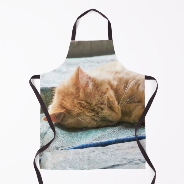 Item preview, Sleeping Longhaired Ginger Cat designed and sold by Frankie Cat Photography.