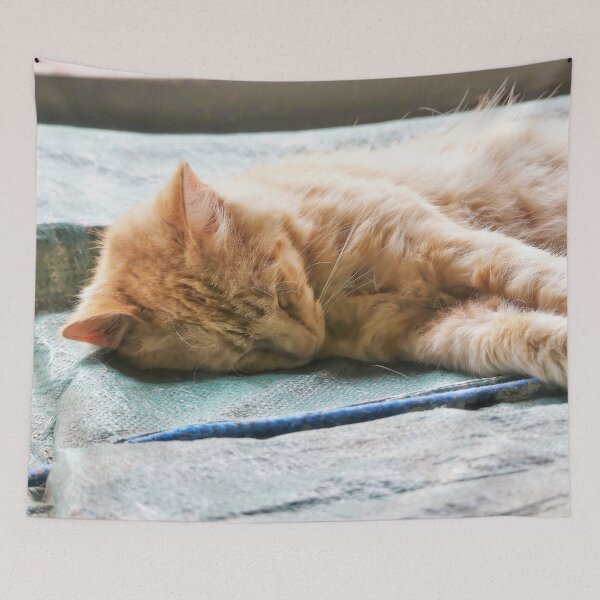 Item preview, Sleeping Longhaired Ginger Cat designed and sold by Frankie Cat Photography.