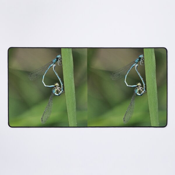 Item preview, 2581/  6  Libellules-Dragonflies " Des têtes de Clowns amoureux ! "  finition 2020 par Okaio Créations - Olavia&Olao  designed and sold by o.okaïo.