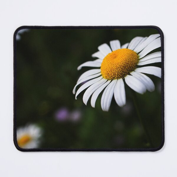 Item preview, Daisy designed and sold by MKP Productions.