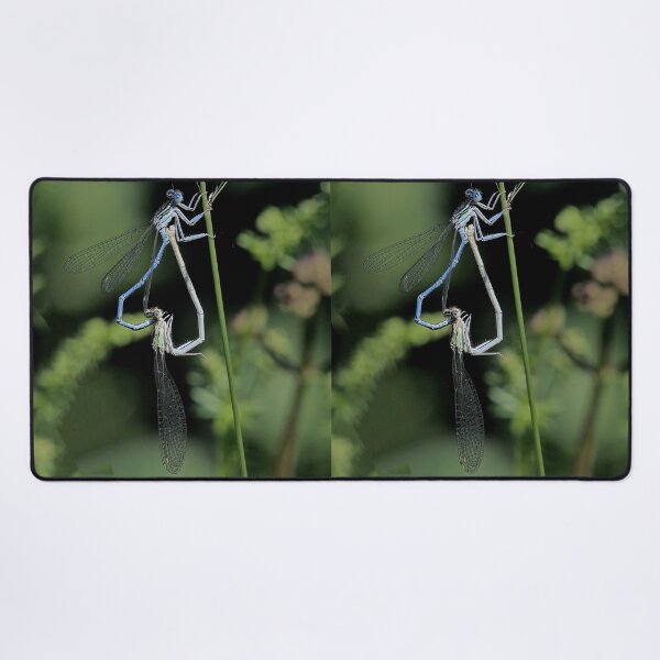 Item preview, 2576/  1  Libellules-Dragonflies " Un coeur Tendre "  finition 2020 par Okaio Créations - Olavia&Olao  designed and sold by o.okaïo.