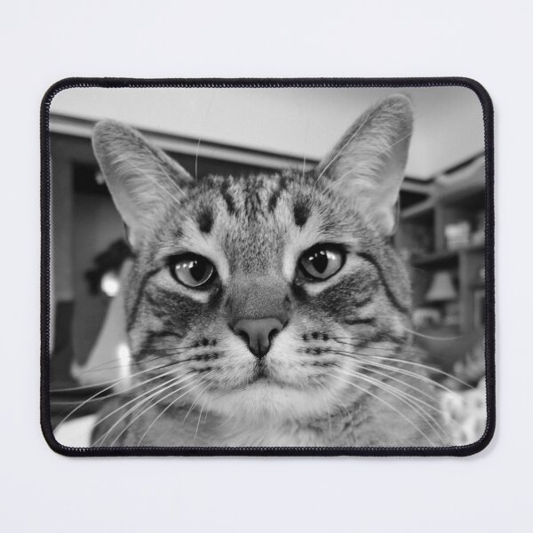 Item preview, Big Buster Cat designed and sold by jenniferloring.