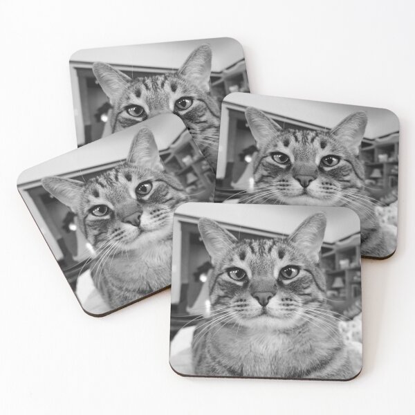 Item preview, Big Buster Cat designed and sold by jenniferloring.