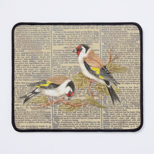 Item preview, Pretty Goldfinches on Vintage Ornithology Writing designed and sold by TTWG.