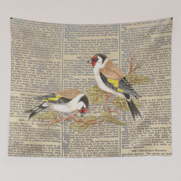 Item preview, Pretty Goldfinches on Vintage Ornithology Writing designed and sold by TTWG.