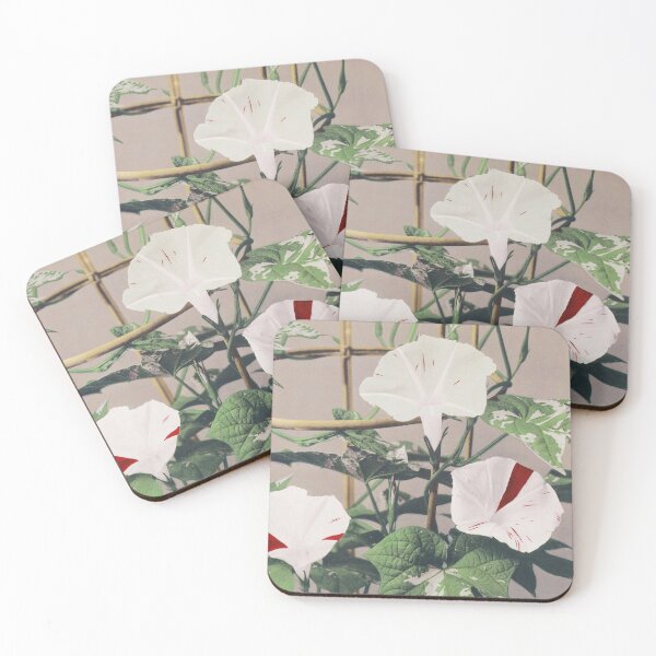 Item preview, Retro Japanese Flower Striped Bindweed Flowers (1887–1897) by Ogawa Kazumasa designed and sold by Designedbysm.