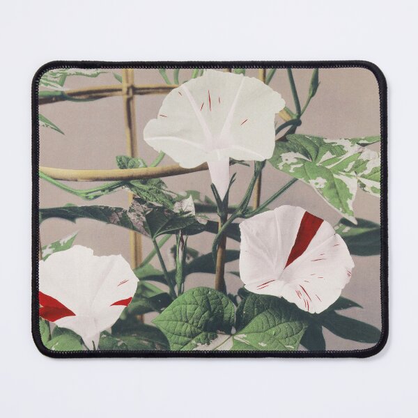 Item preview, Retro Japanese Flower Striped Bindweed Flowers (1887–1897) by Ogawa Kazumasa designed and sold by Designedbysm.