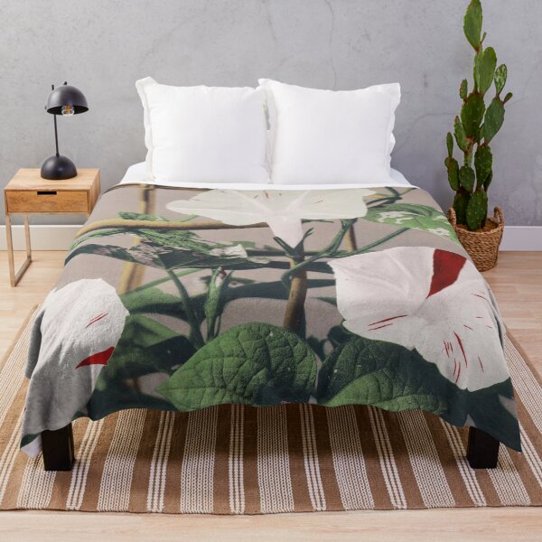 Item preview, Retro Japanese Flower Striped Bindweed Flowers (1887–1897) by Ogawa Kazumasa designed and sold by Designedbysm.