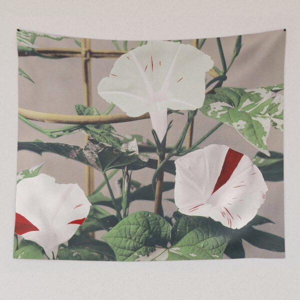 Item preview, Retro Japanese Flower Striped Bindweed Flowers (1887–1897) by Ogawa Kazumasa designed and sold by Designedbysm.