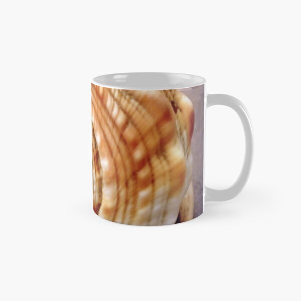 Item preview, Natural spirals in a seashell designed and sold by bubblehex08.