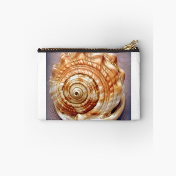 Item preview, Natural spirals in a seashell designed and sold by bubblehex08.