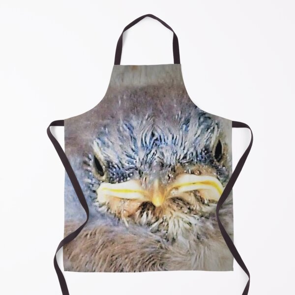 Item preview, Baby mockingbird closer up designed and sold by B. Randi Bailey.
